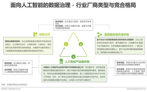 2022年中国面向人工智能的数据治理行业研究报告 数据处理服务的关键角色与发展趋势